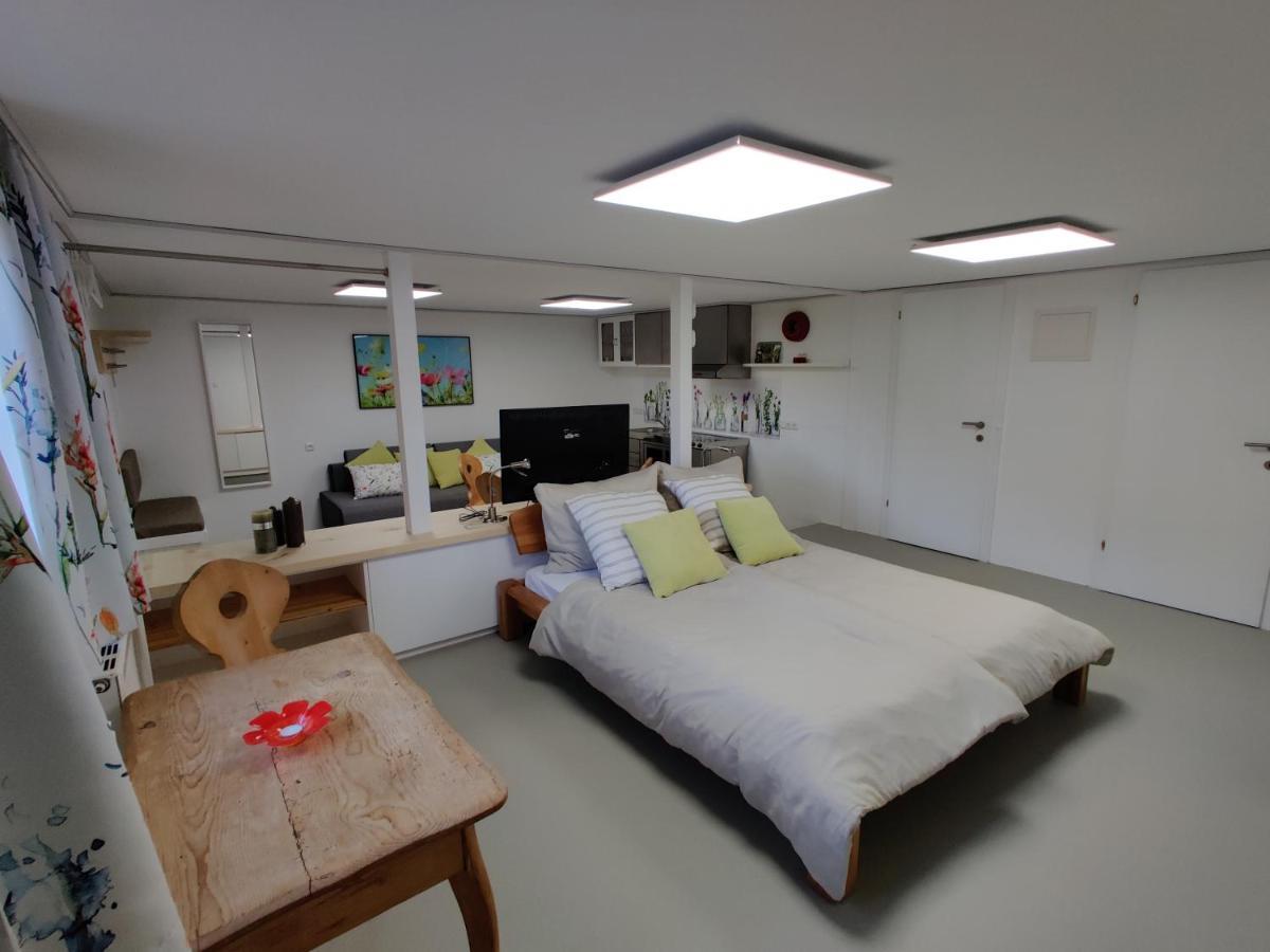 Appartements Berger Kitzbuehel エクステリア 写真