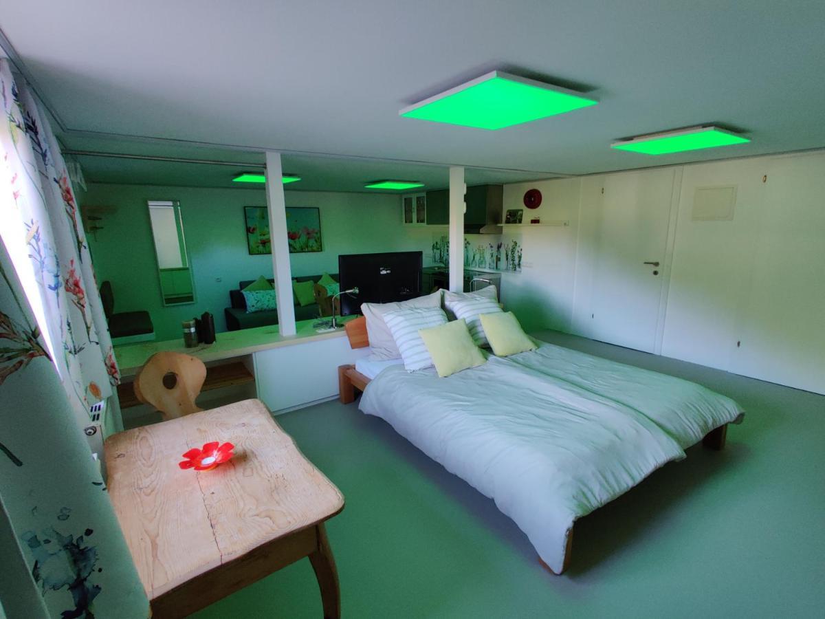 Appartements Berger Kitzbuehel エクステリア 写真