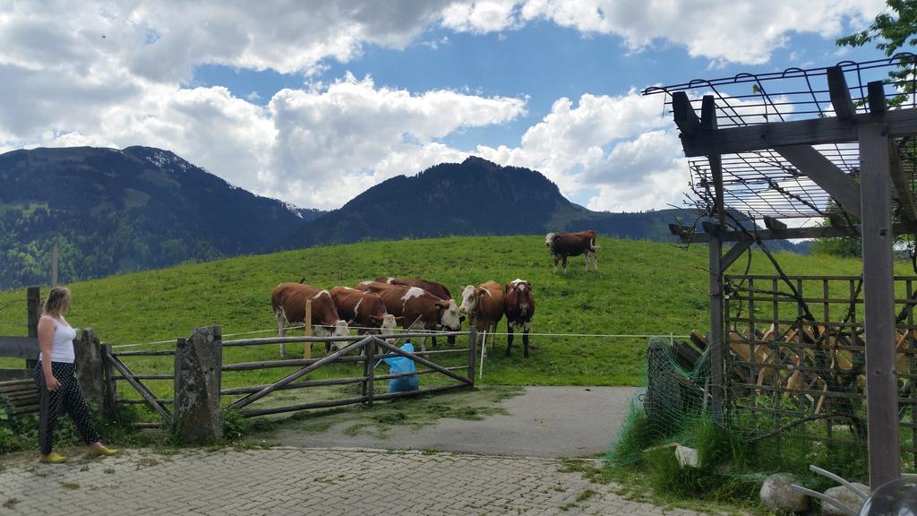 Appartements Berger Kitzbuehel エクステリア 写真